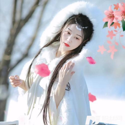 情人泪cover:琥珀妞妞的专辑