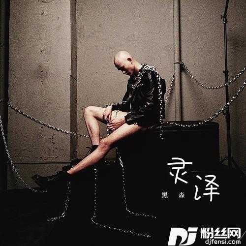 双重人格的专辑