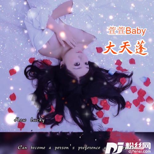 大天蓬的专辑
