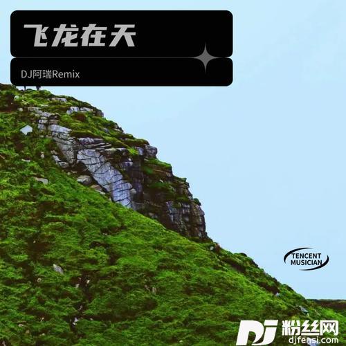 哥是农民工DJ阿瑞remix的专辑