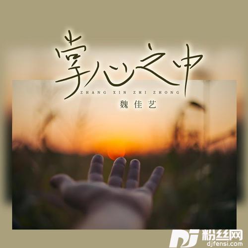 掌心之中（DJ沈念舞动版）的专辑