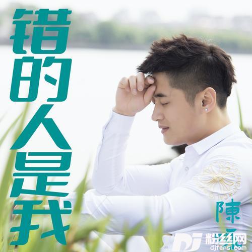 错的人是我