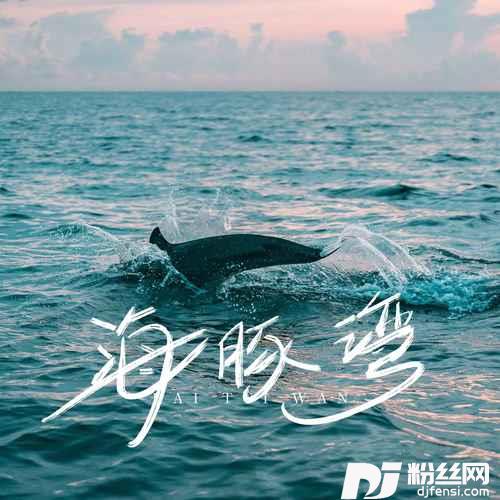 海豚湾的专辑