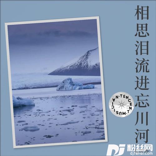 冰冷的酒悲伤的泪（DJ默涵）cover:蔷薇团长的专辑