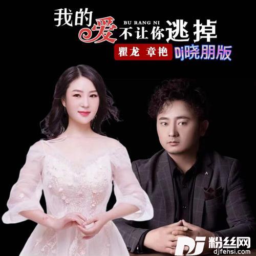 我的爱不让你逃掉（Dj晓朋版）
