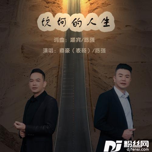 坎坷的人生的专辑