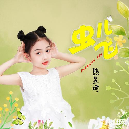 虫儿飞DJ大金版