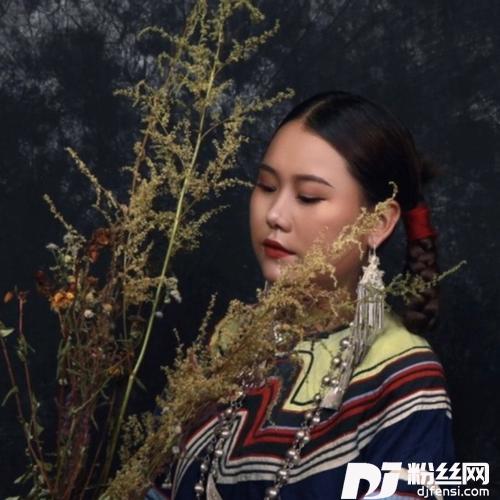 金色的口弦的专辑