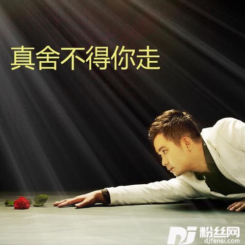 对你痴心不改的专辑