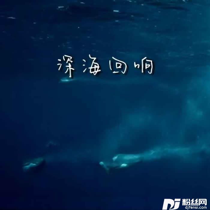 深海回响