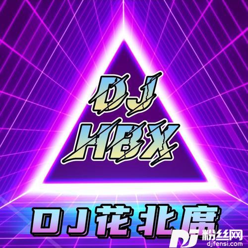 少林功夫好（DJ版）