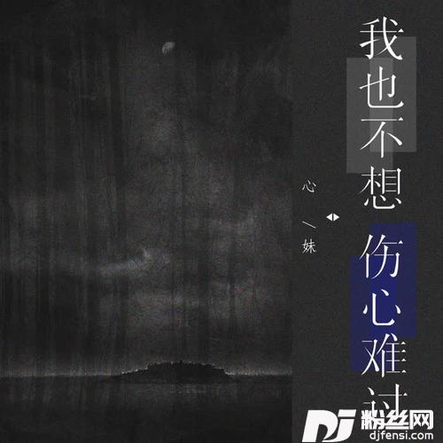 我也不想伤心难过DJ可乐版
