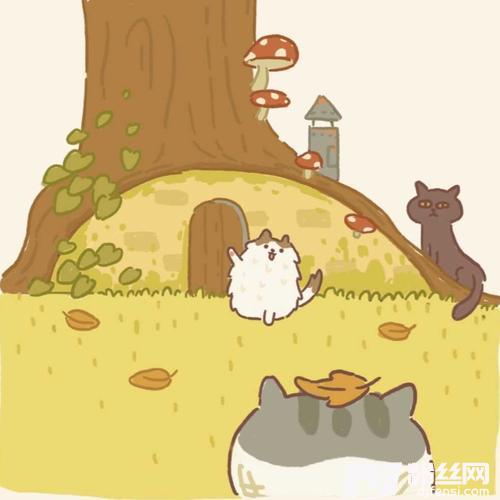 Myeverthingcover:金骏植