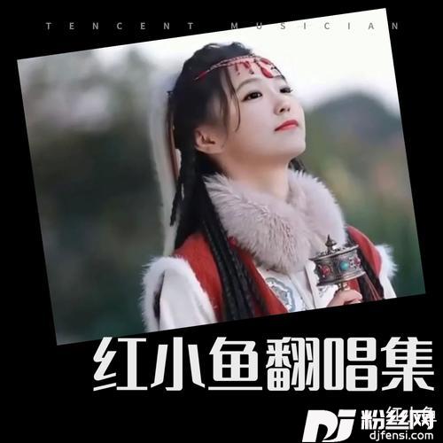 人生这条路cover:黄文文的专辑