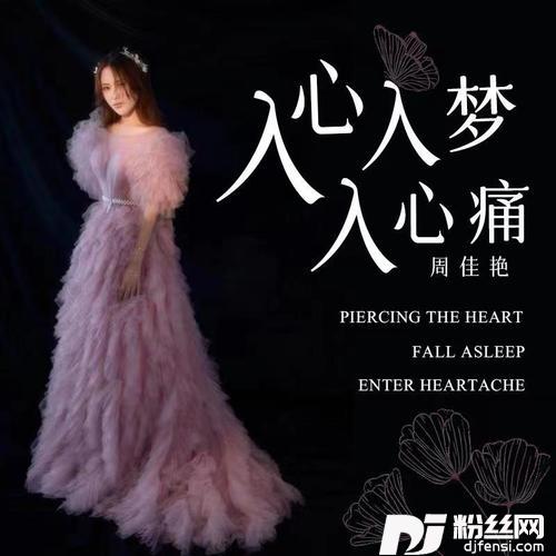 入心入梦入心痛DJ默涵版