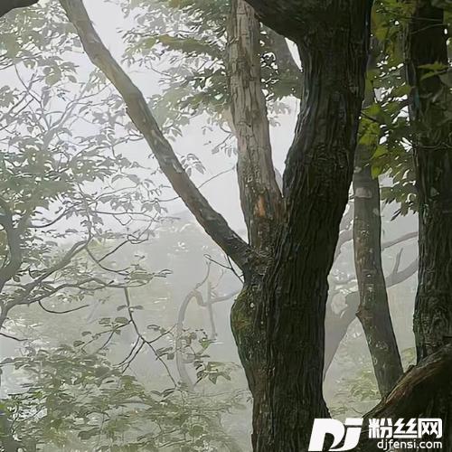 会魔法的老人纯享版的专辑