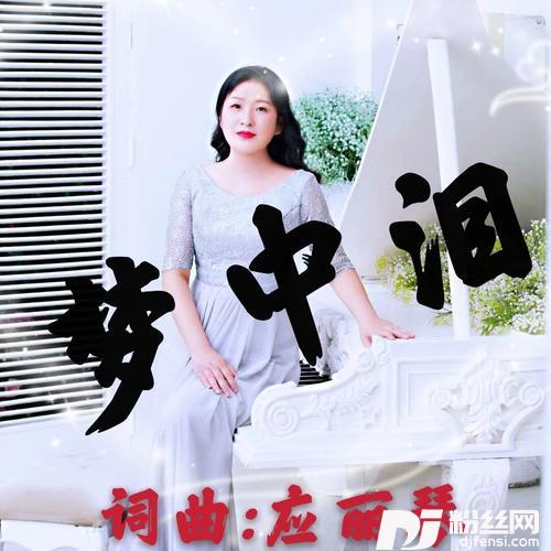 梦中泪的专辑