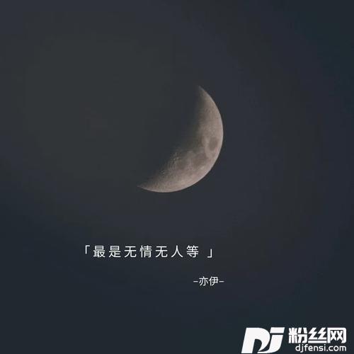 最是无情无人等DJ默涵版