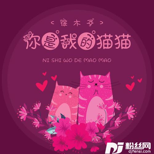 你是我的猫猫