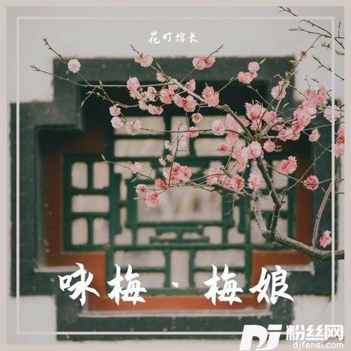 梅娘的专辑