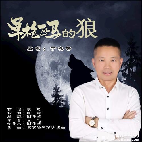 单枪匹马的狼