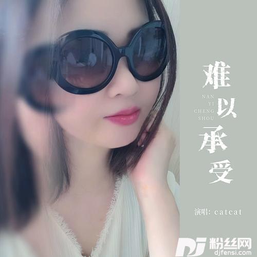 难以承受的专辑