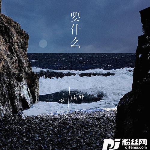 要什么的专辑