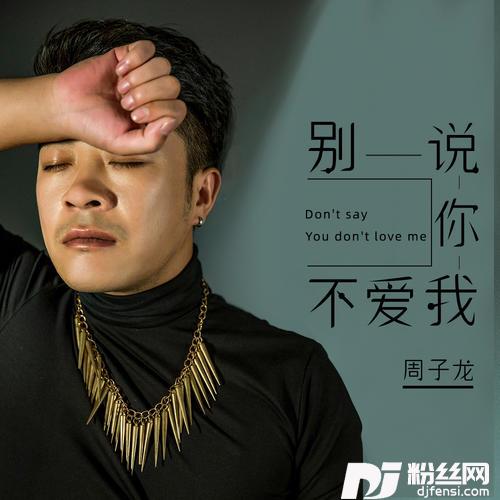 别说你不爱我
