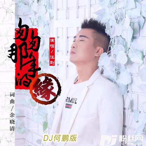匆匆那年的缘DJ何鹏版的专辑