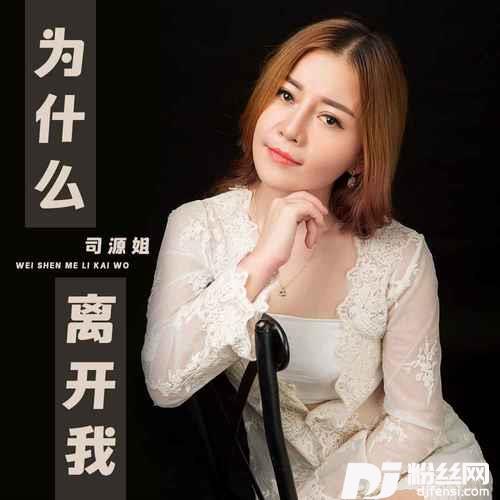 为什么离开我DJ默涵版的专辑