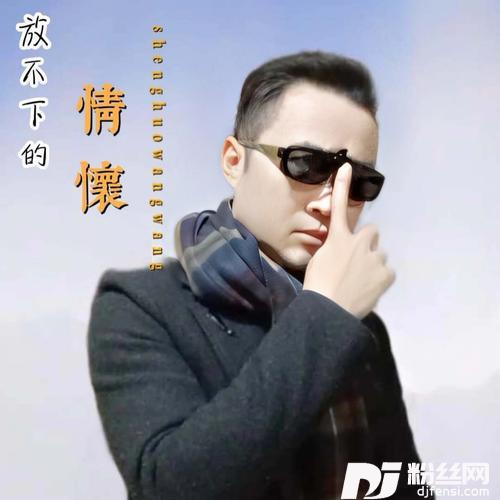 放不下的情怀的专辑