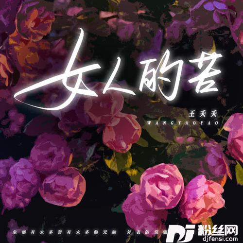 女人的苦DJ彭锐版