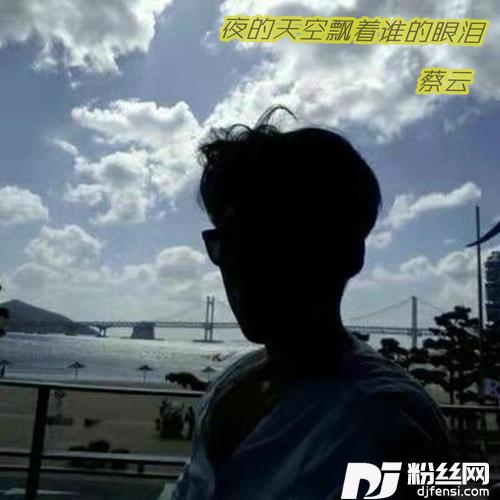 夜的天空飘着谁的眼泪的专辑