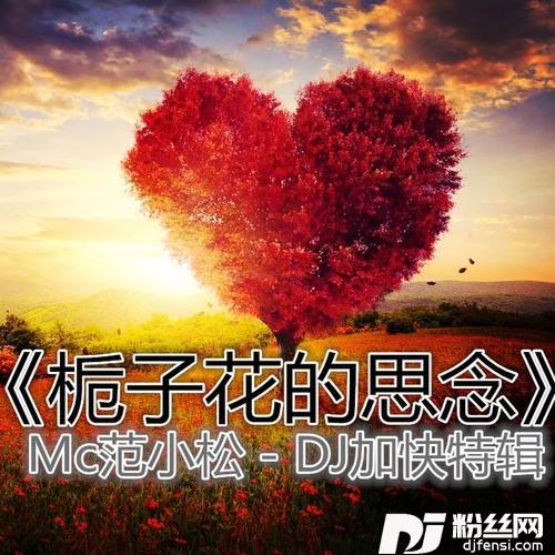栀子花的思念DJ加快版的专辑