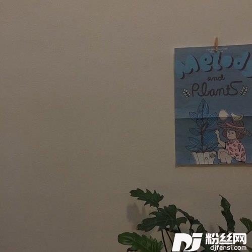 星河不及你温柔眼睛（Dj小帽版）