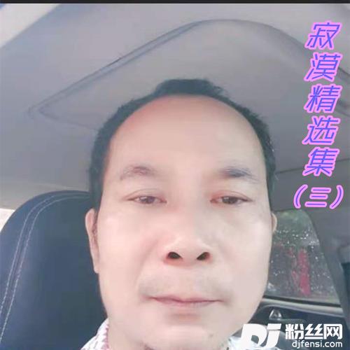 爱给了你我就不后悔