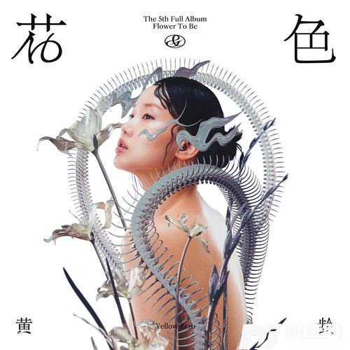 小雨的专辑