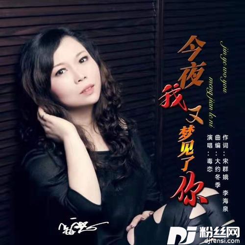 今夜我又梦见了你