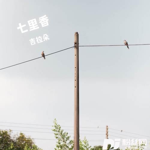七里香女声版的专辑