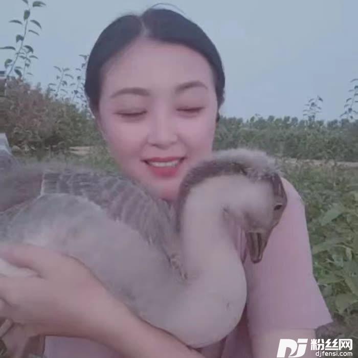 天地之恋cover:李欢|玲玲的专辑