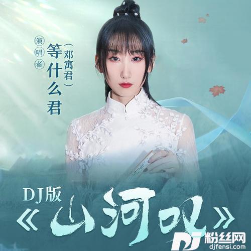 山河叹DJ沈念版