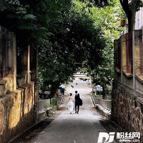 窗外花开cover:李晋