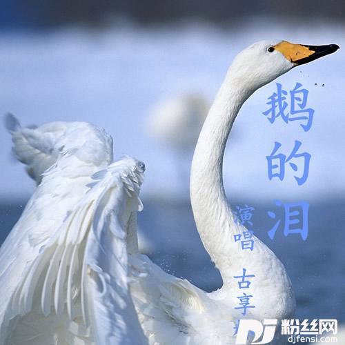 鹅的泪