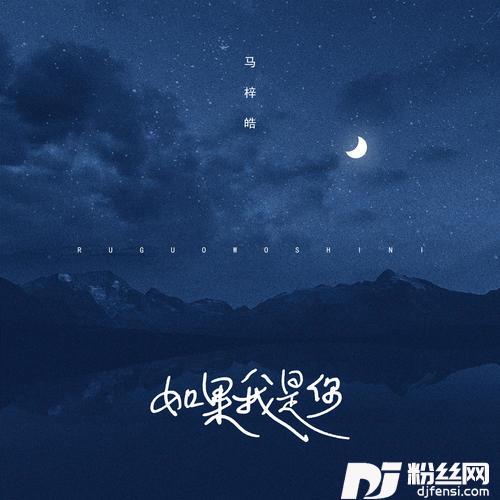 如果我是你