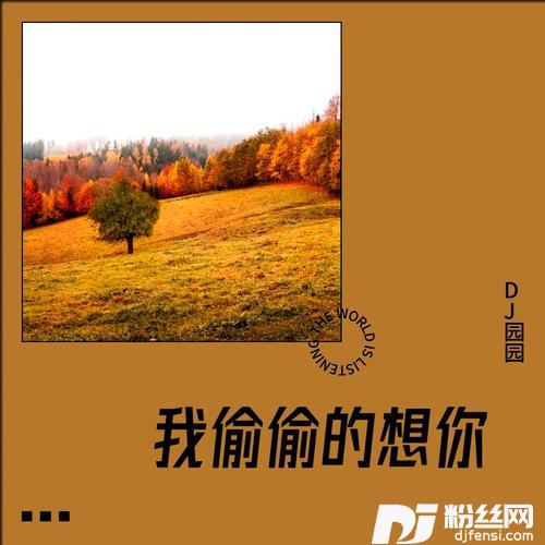 我偷偷的想你的专辑