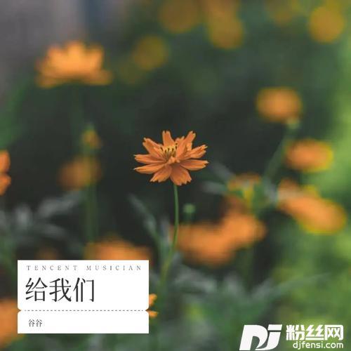 我用深情与你相约cover:黎明