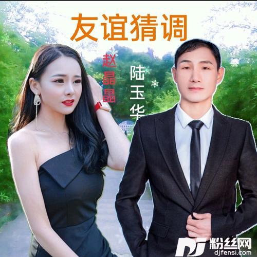 云南山歌友谊调cover:DJ的专辑