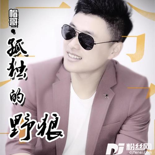 孤独的野狼DJ版