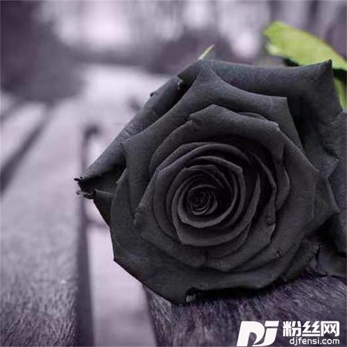 把你的钱给我