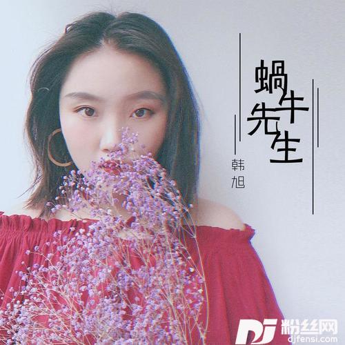 蜗牛先生